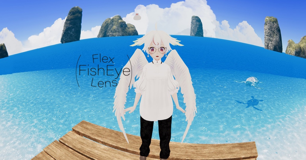 Flex FishEye Lens